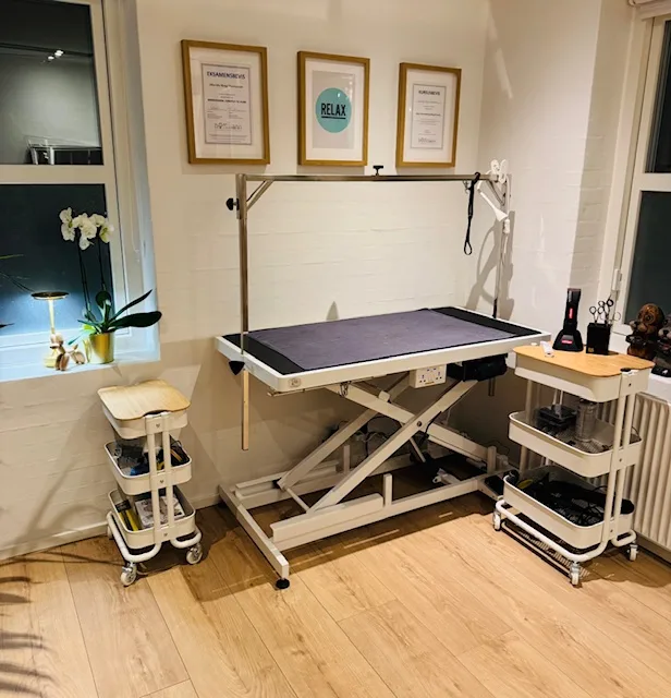 Salonen med klippebord