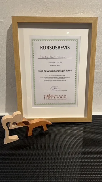 Kursusbevis