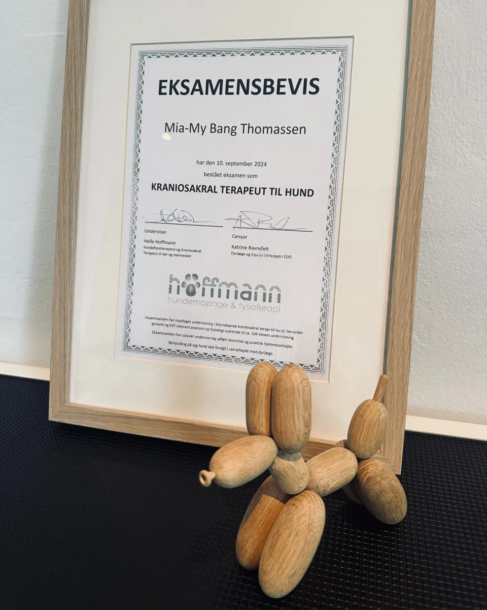 Uddannelsesbevis som kraniosakral terapeut