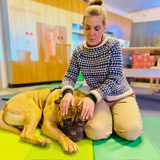 Mia-My behandler en bullmastiff